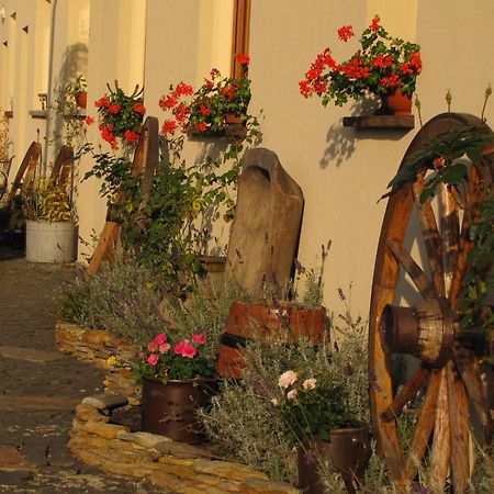 Pokoje Goscinne Skalnik - Agroturystyka كوسترزين ناد أودري المظهر الخارجي الصورة
